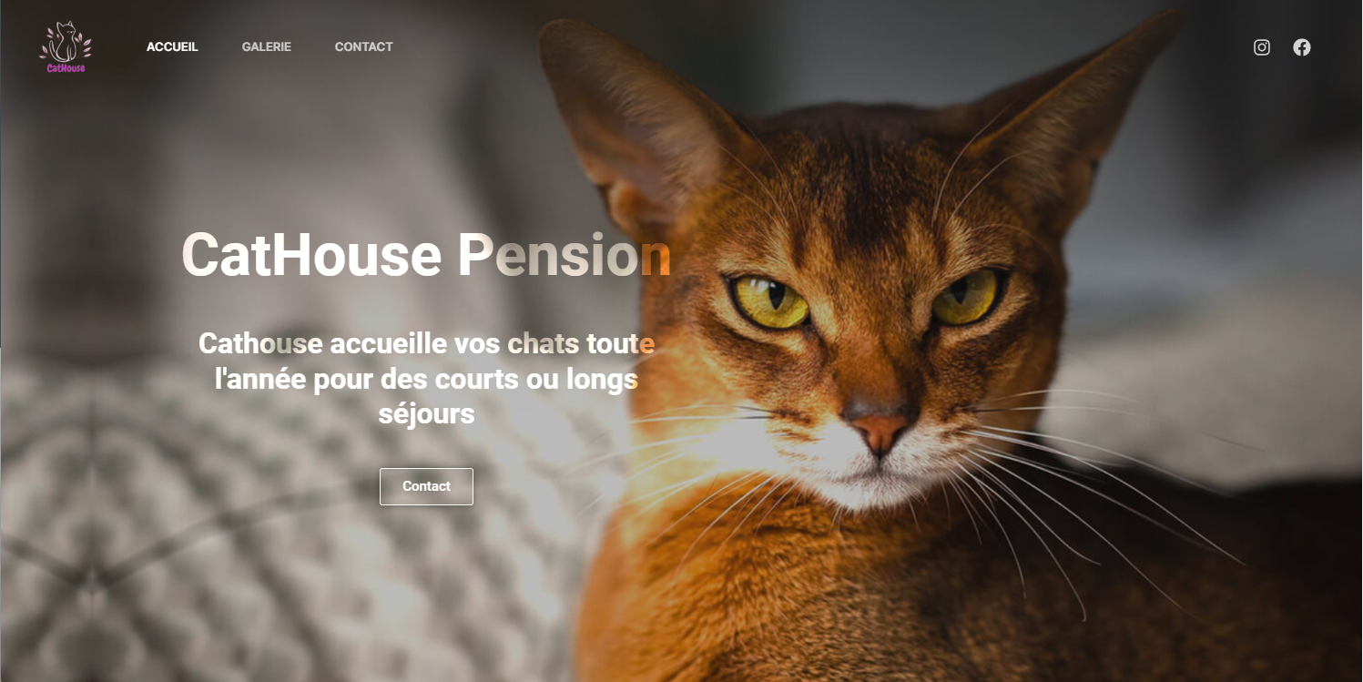 CatHouse Pension